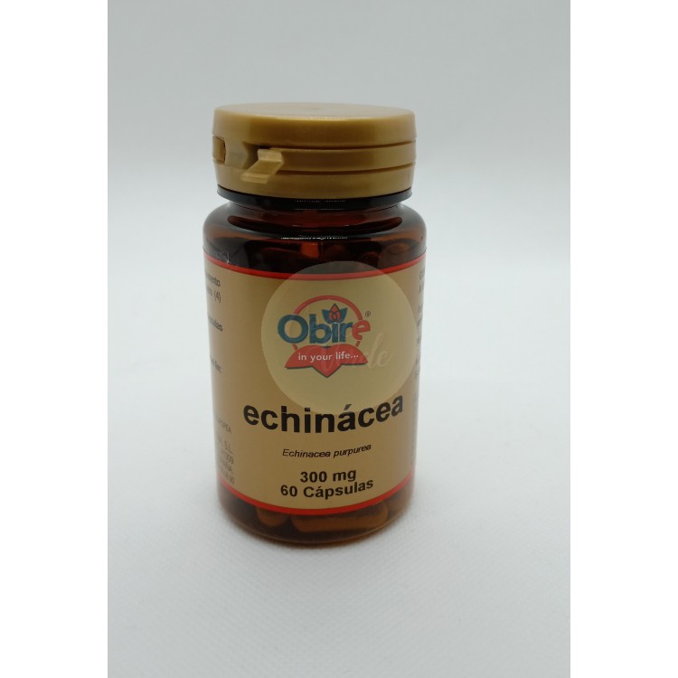 Echinacea Echinacea