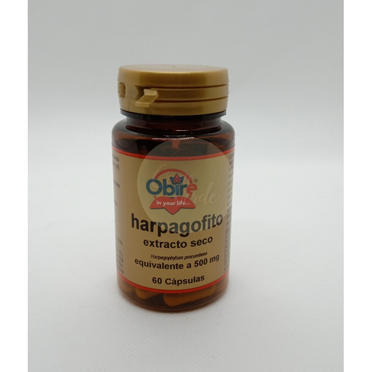 Harpagofito Harpagofito
